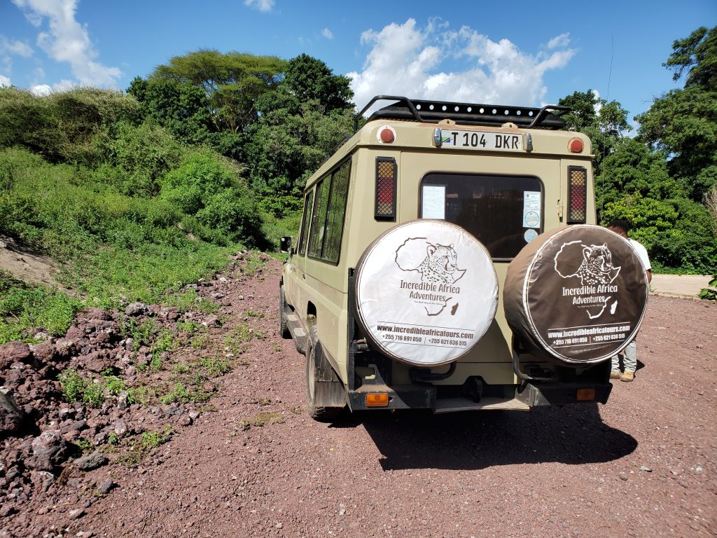 What time of the year is the best for tour and safari in Tanzania?